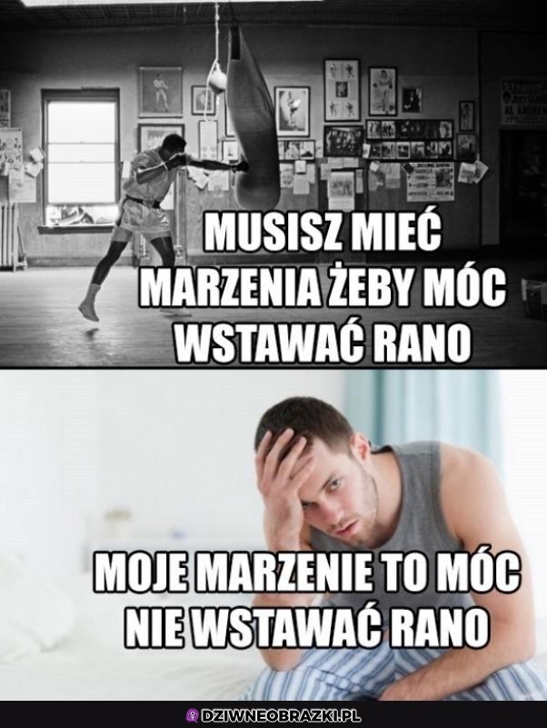 Takie marzenie