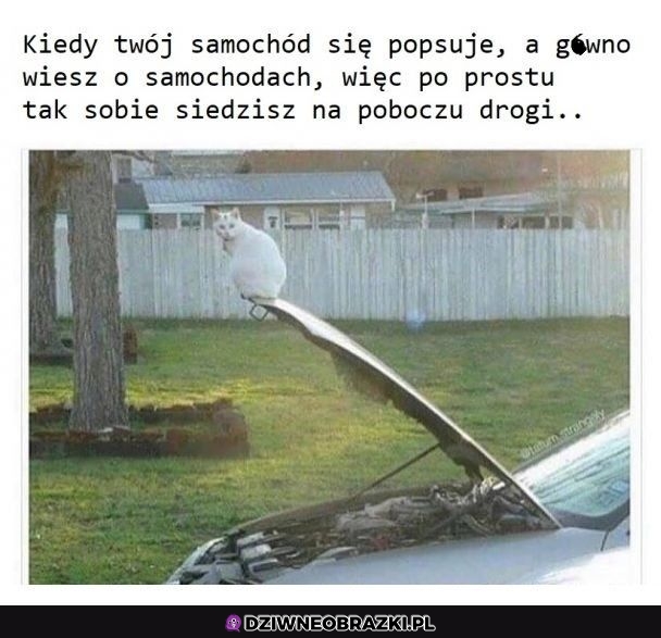 Ten moment