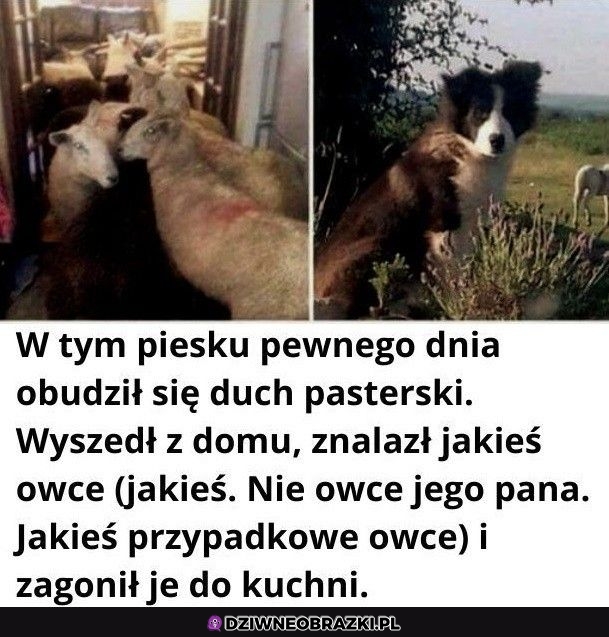 Co tu się stało