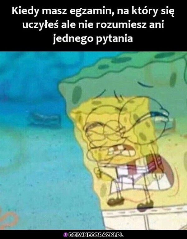 Ten moment