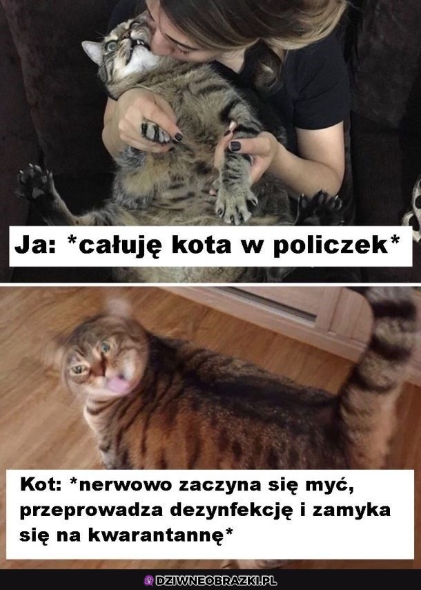 Kiedy cmoknę kitku