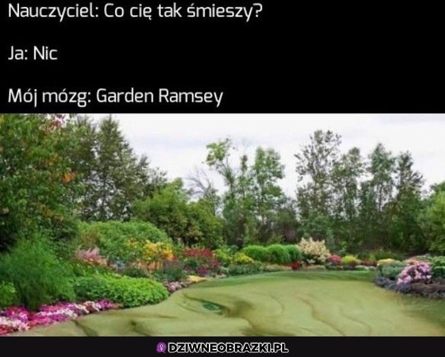 No ale nic mnie nie śmieszy