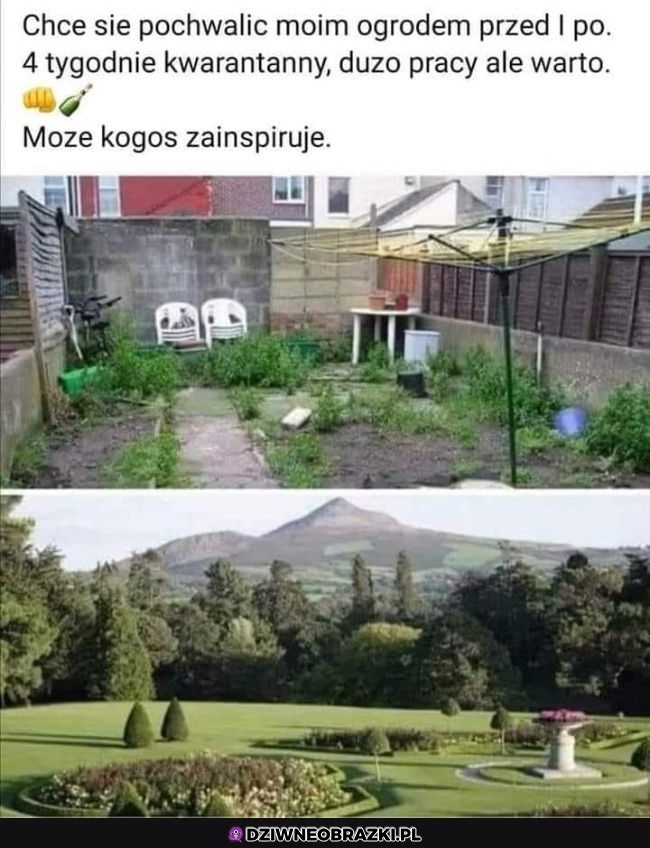 Taka zmiana w ogródku