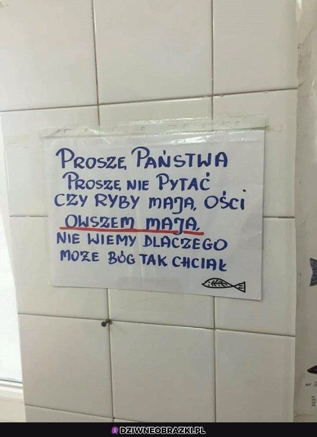 Wyjaśnione