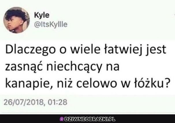 Właśnie