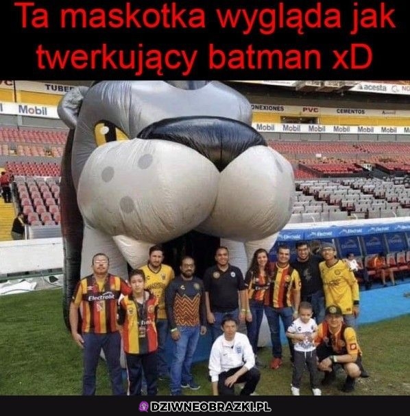 Albo srający