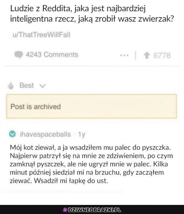 Sprytnie