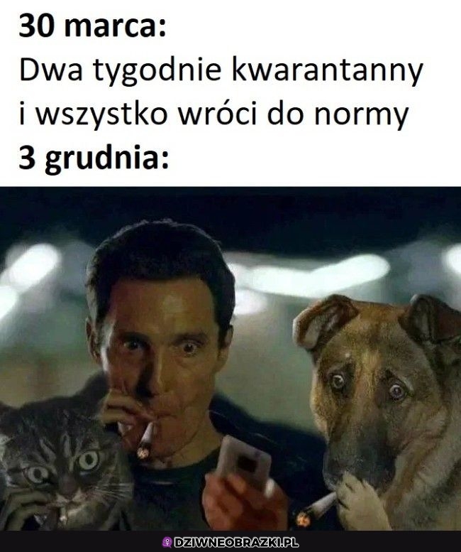 No jednak nie