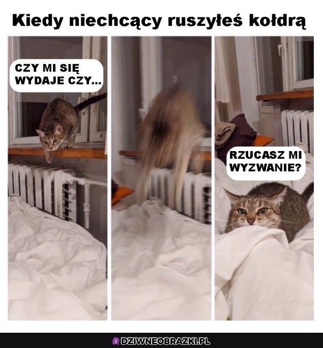 Kiedy ruszysz kołdrą