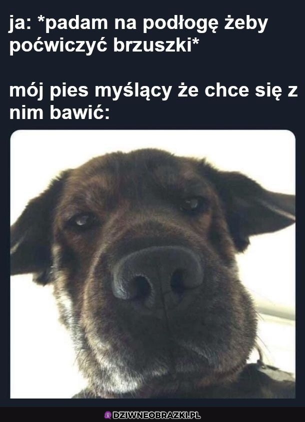 Kiedy chcę poćwiczyć