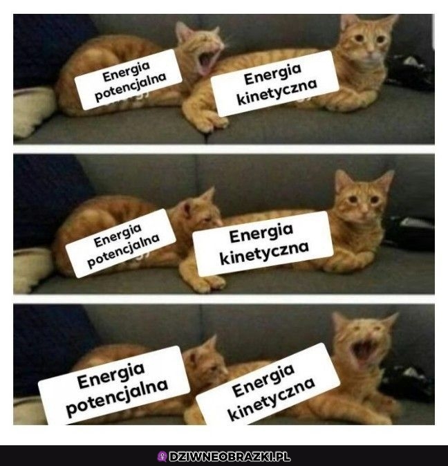 Zamiana energii