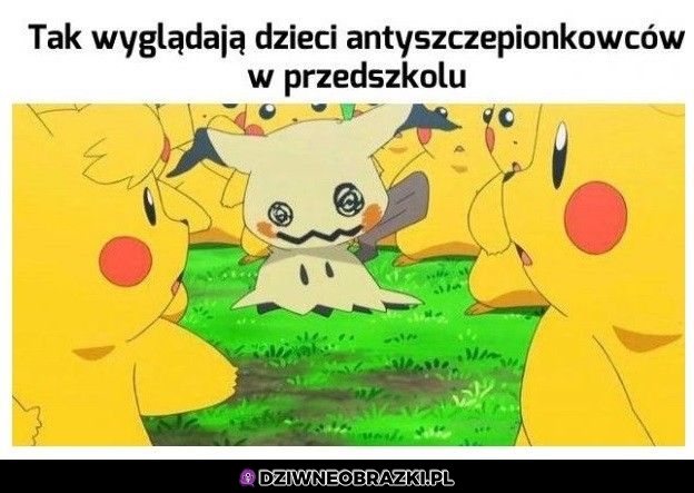 Taki ich wygląd