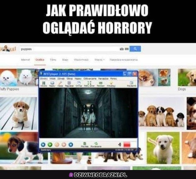 Oglądanie horrorów