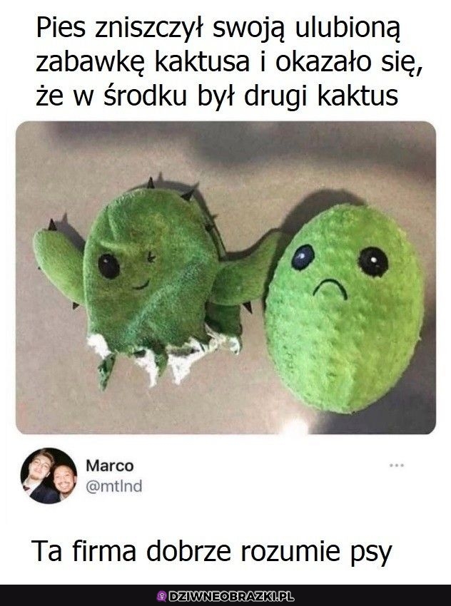 Najlepsza zabawka