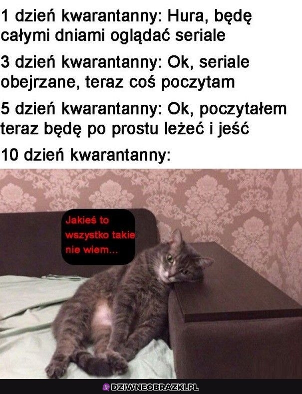 Kwarantanna tak leci