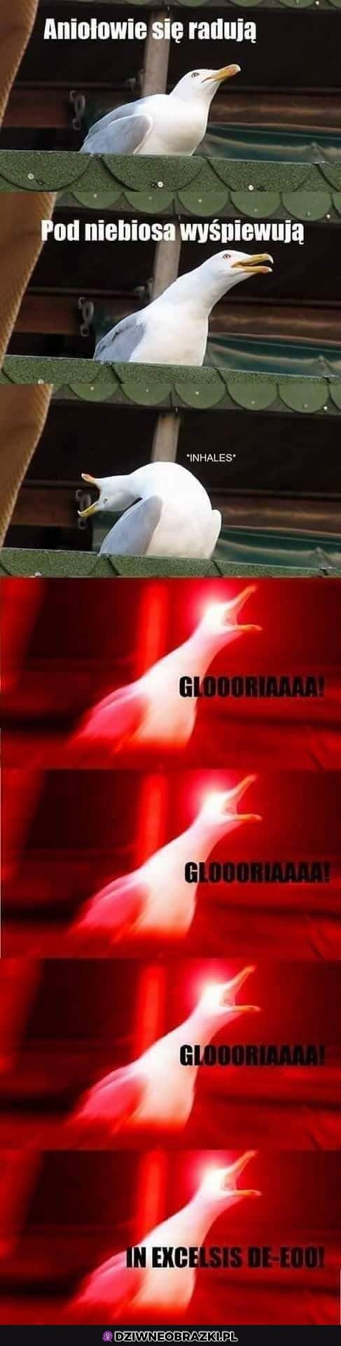 I jedziemy