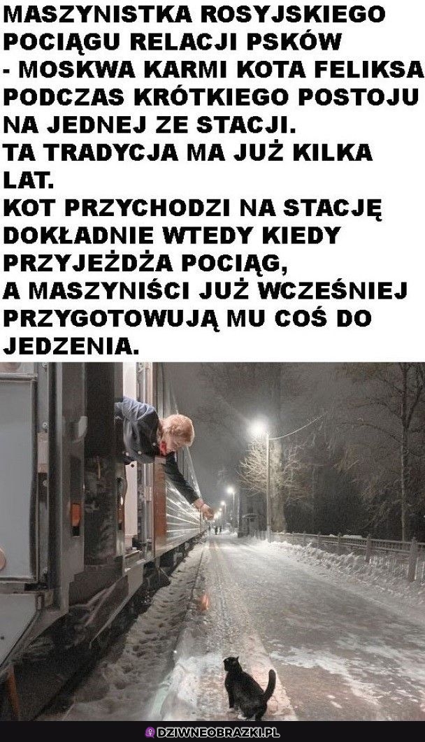 Najlepsza tradycja