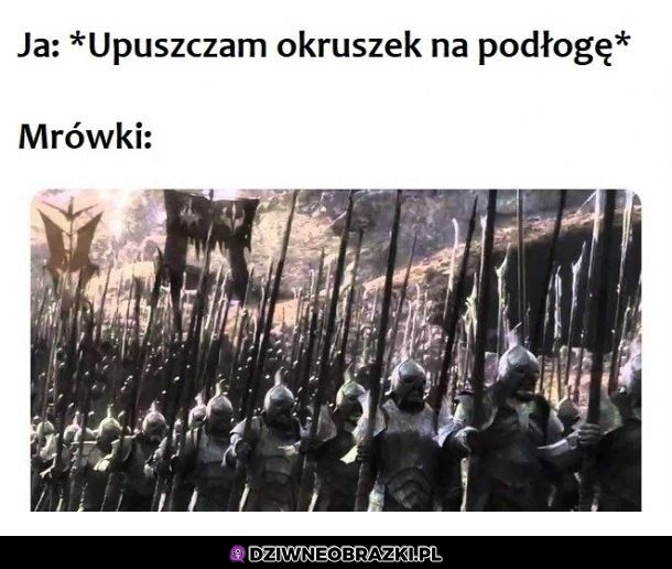 Kiedy upuszczę okruszek
