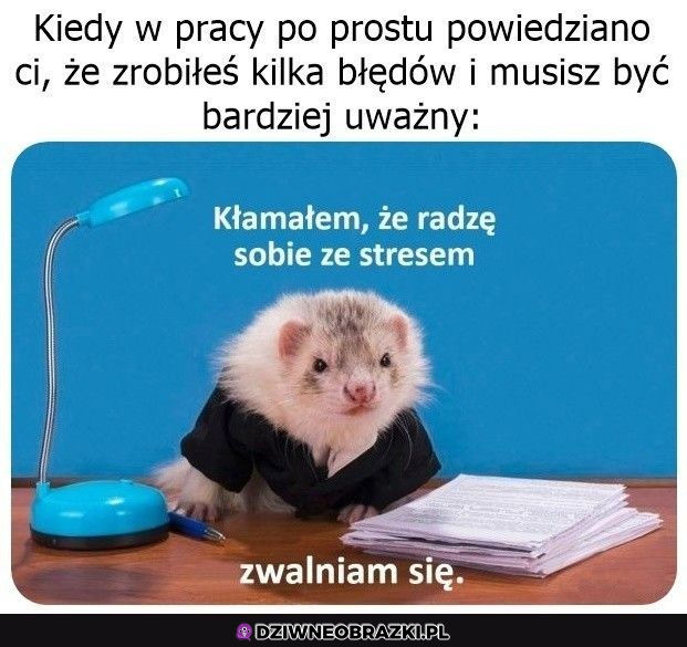 Kłamałem