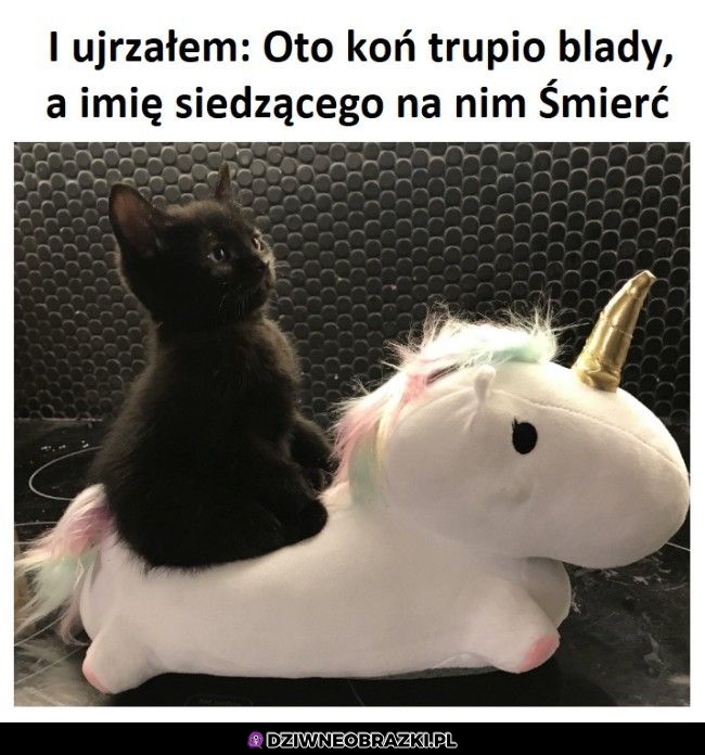I ujrzał Go