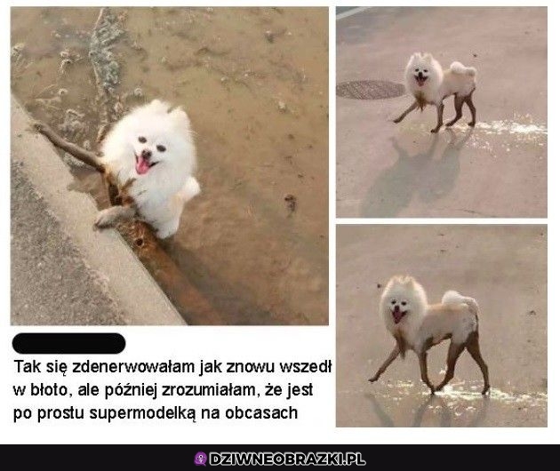 Supermodelka