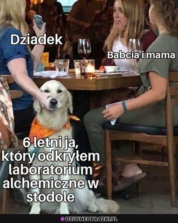 Ani słowa