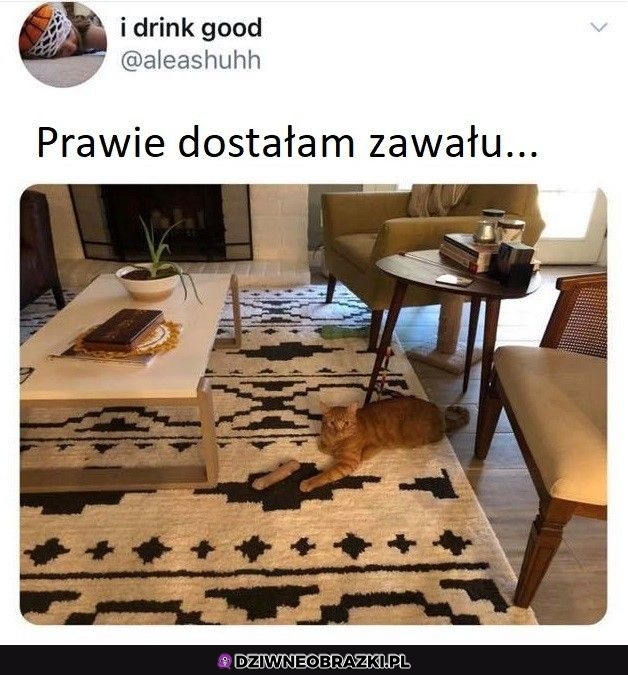 Co tu się