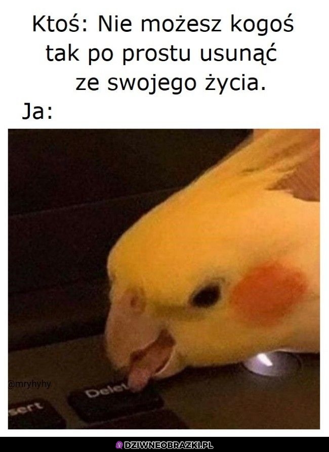 Pyk