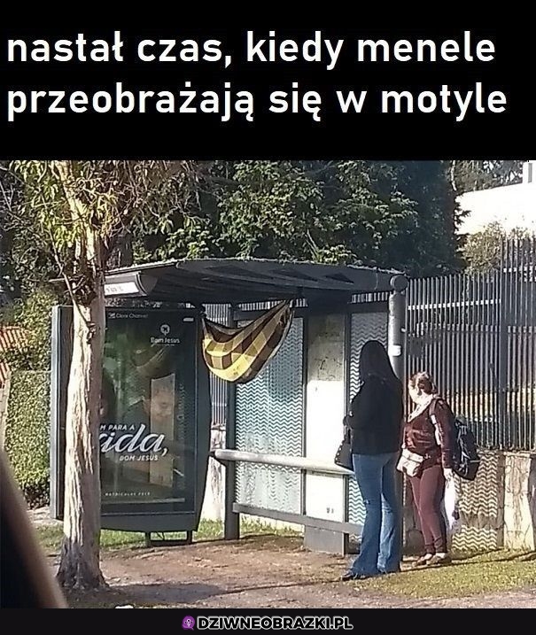 Ten czas w roku