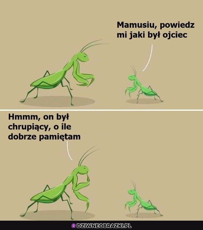 Taki jak wszyscy