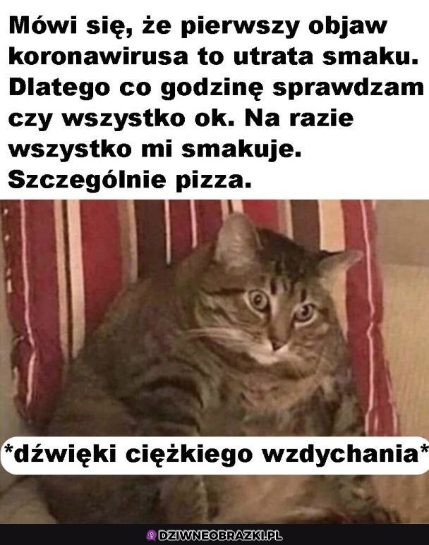 Sprawdzanie czy nie ma się objawów