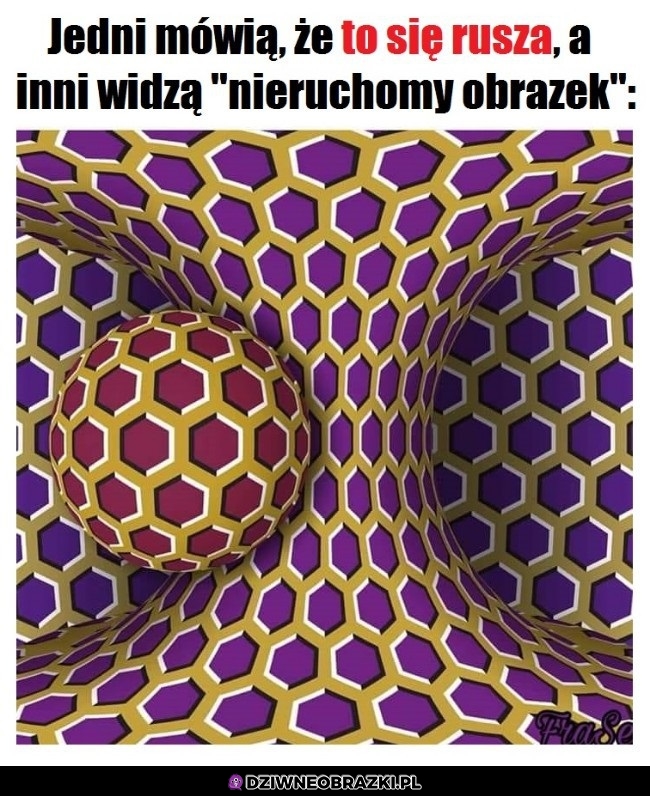 A ty co widzisz?