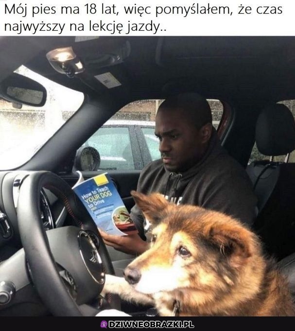 Najwyższa pora