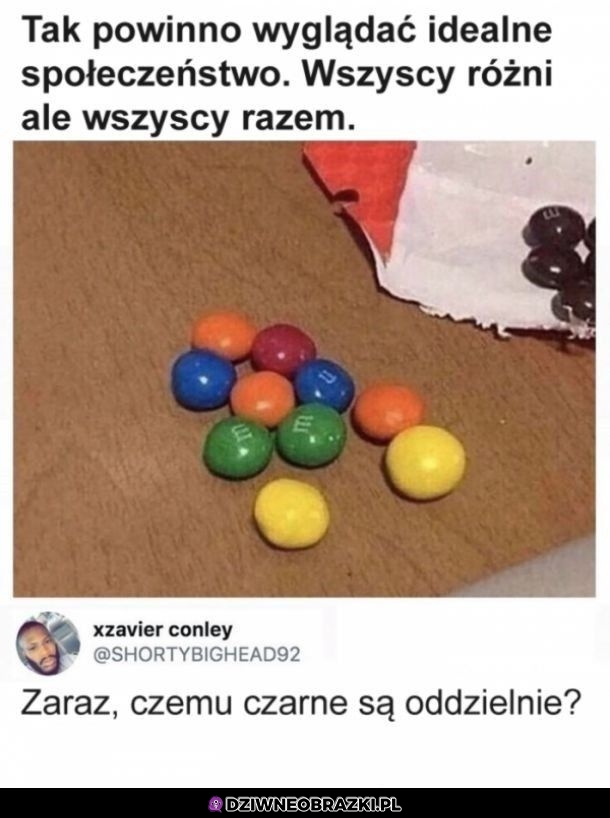Społeczeństwo idealne