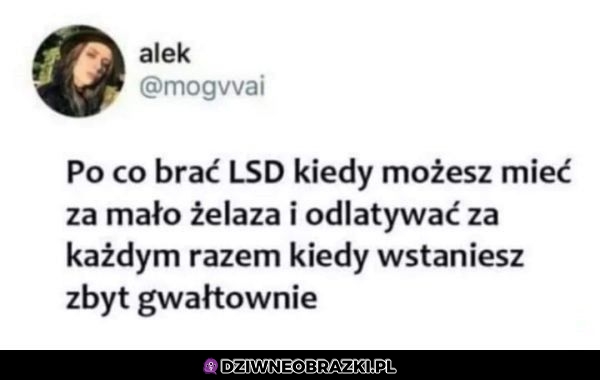 Właśnie