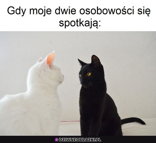 Cóż za spotkanie