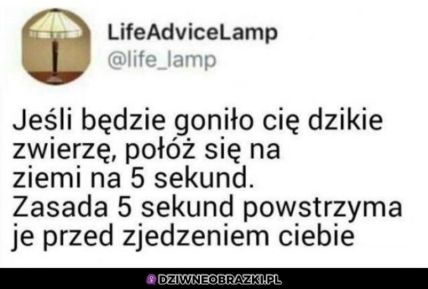 Lifehack