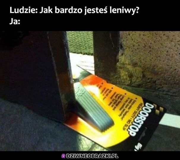 Lenistwo