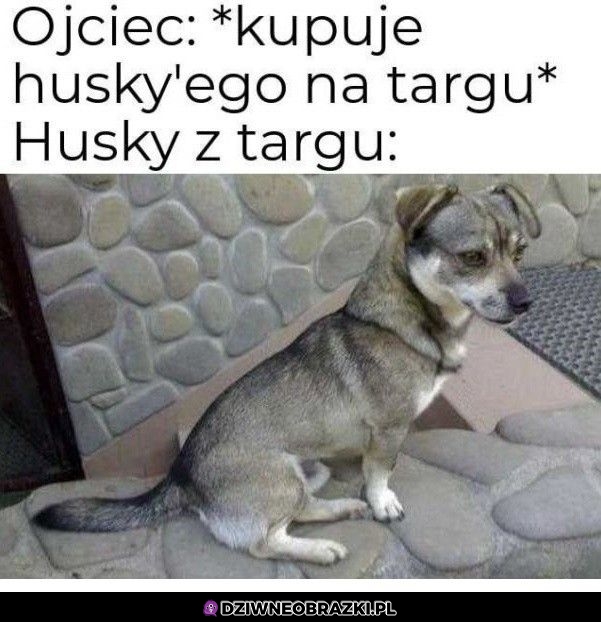 Ups