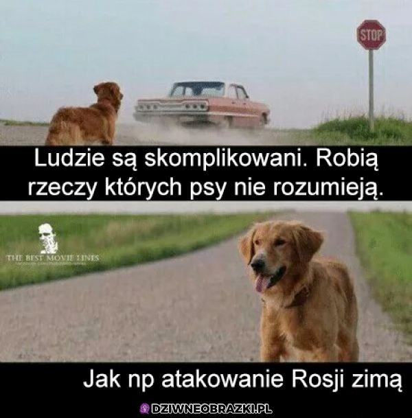 Rzeczy