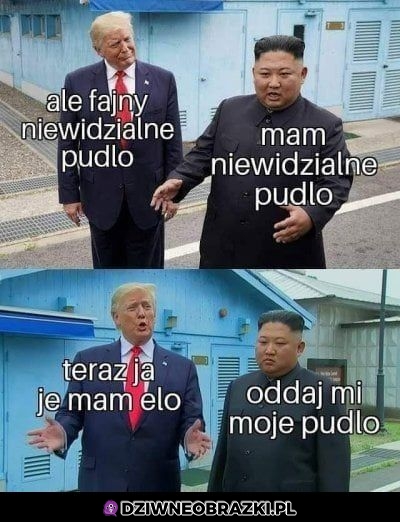 Niewidzialne pudło
