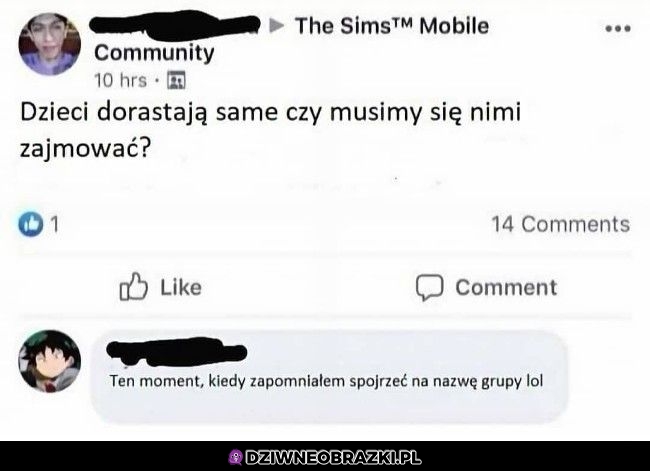 Pytanie