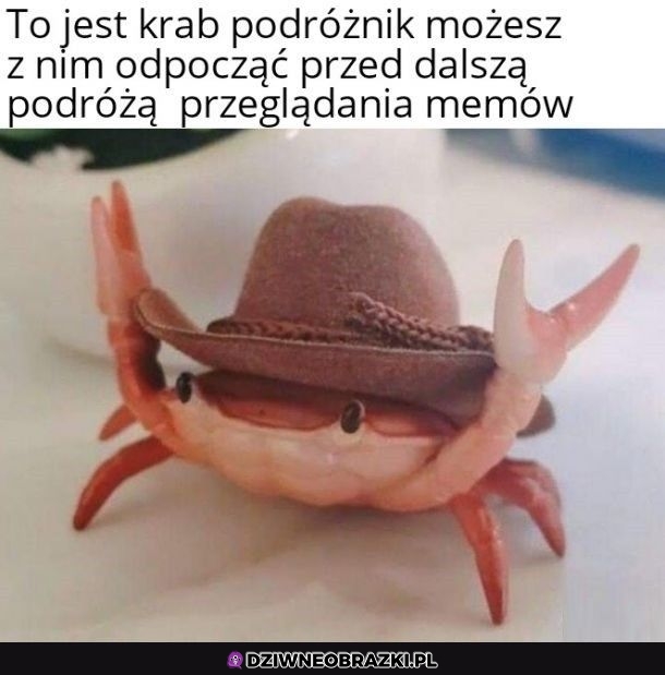 Zregeneruj się podróżniku