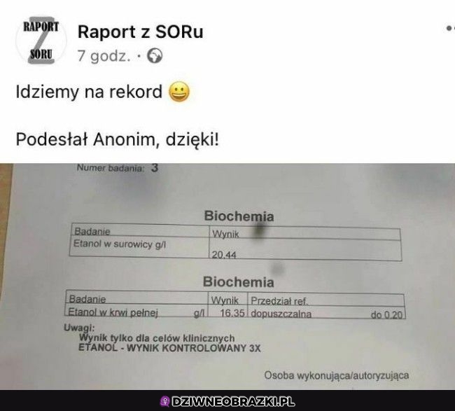 Wygląda na rekord