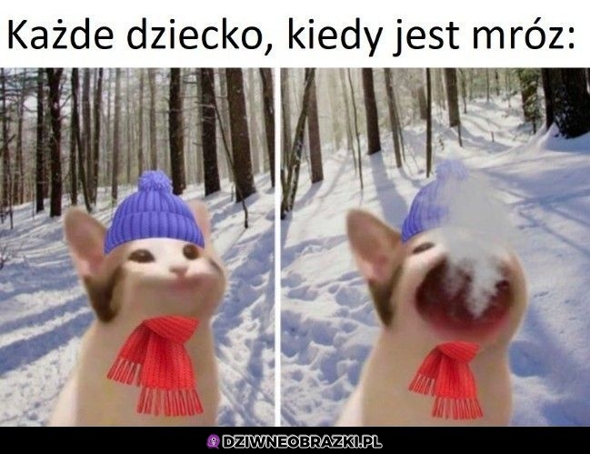 Dorośli też tak robią