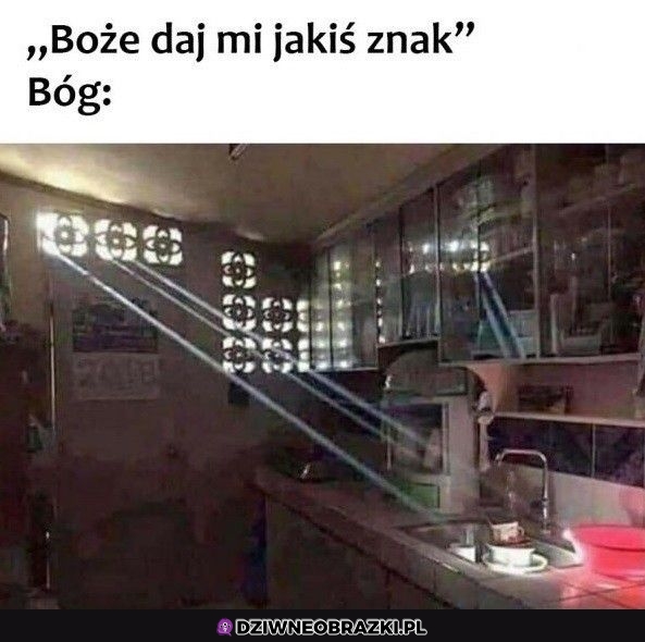 Proszę