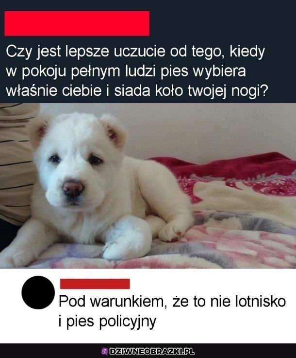 Tylko jeden warunek