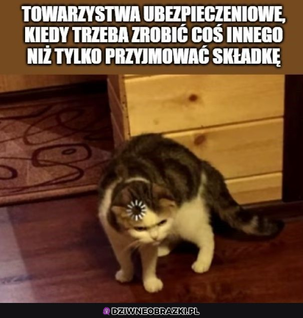 Ubezpieczyciele tacy są