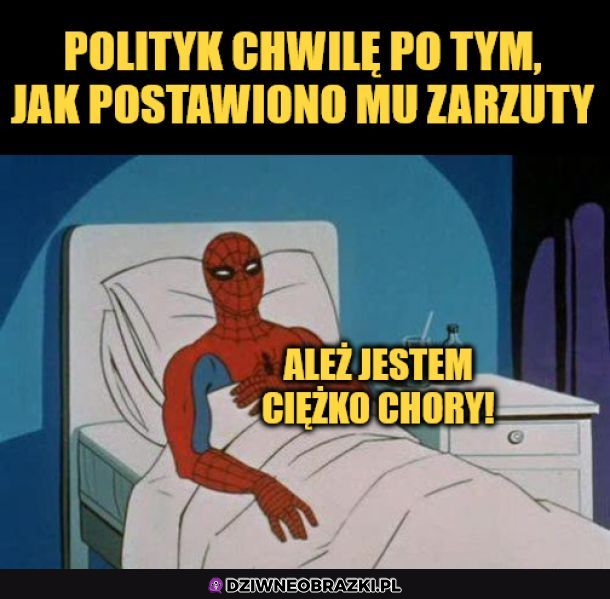 Dzień z życia polityka