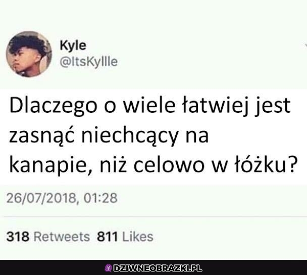 Właśnie